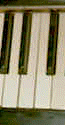 Enlaces (Links)