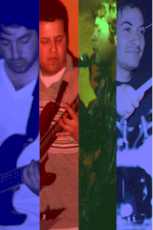 collage3